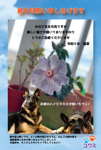 暑中お見舞い申しあげます